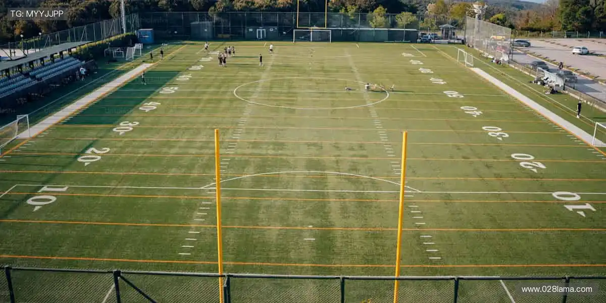 ⚽全球赛事,尽在掌握!指尖滑动,见证冠军诞生的每一秒!